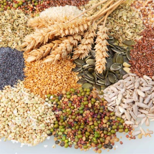 ./images/products/food grain & products.png
